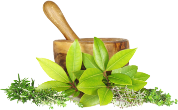 ayurveda-herbs-image