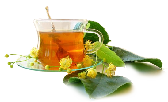 honey-herbs-image